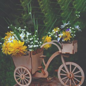 Коробка подарункова для квітів